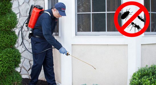 Batman Bit İlaçlama böcek ilaçlama ve haşere kontrolü — ilaclama-tr.com